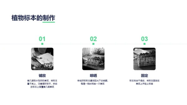 绿色创意植物标本制作实验报告PPT案例
