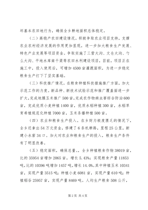 乡镇粮食行政首长负责制自评报告.docx