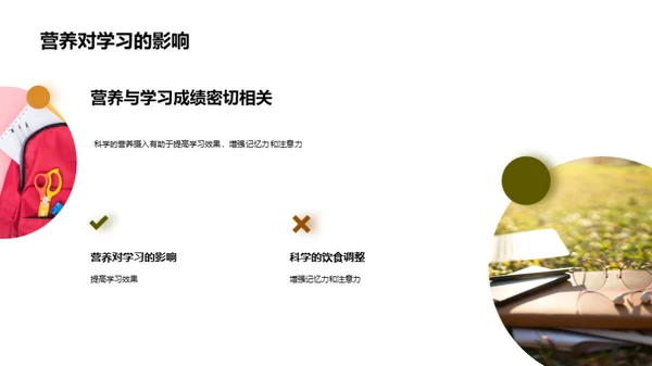 高三营养策略