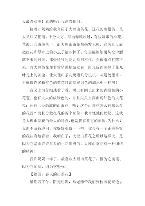 春天的山茶花作文600字.docx