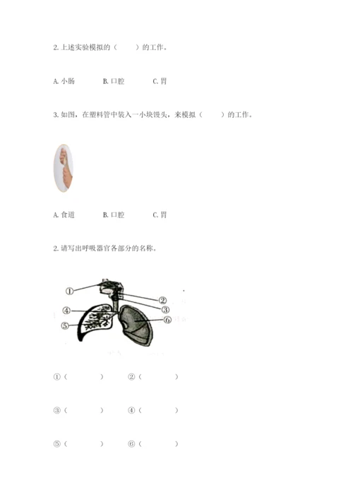 教科版四年级上册科学期末测试卷【轻巧夺冠】.docx