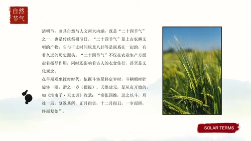 清明时节主题教育科普PPT模板