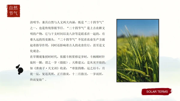 清明时节主题教育科普PPT模板