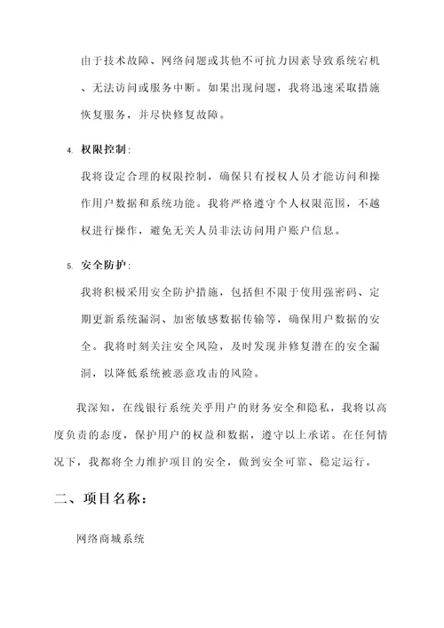 个人项目安全承诺书