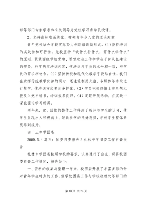 团委自查报告5篇范文.docx