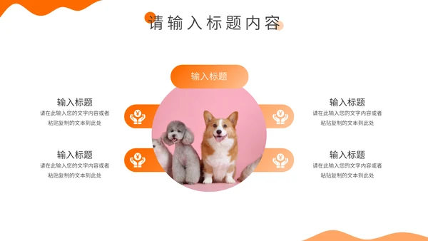 宠物健康饲养专题介绍通用PPT模板