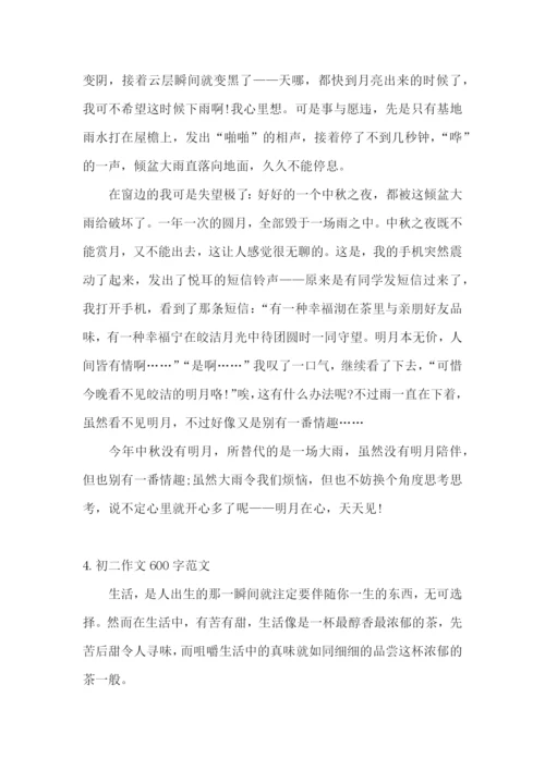 初二作文600字范文(5篇).docx