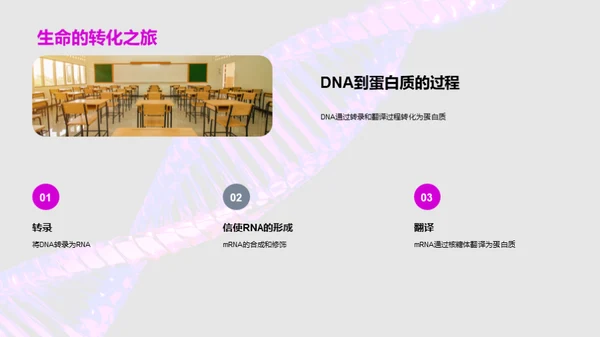 揭秘DNA：生命的密码