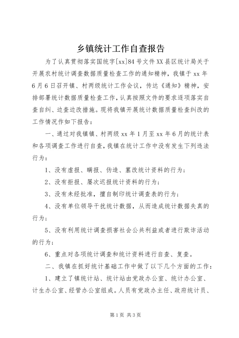 乡镇统计工作自查报告.docx