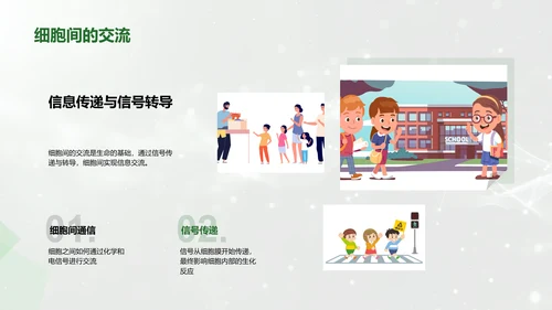生物学知识解析PPT模板
