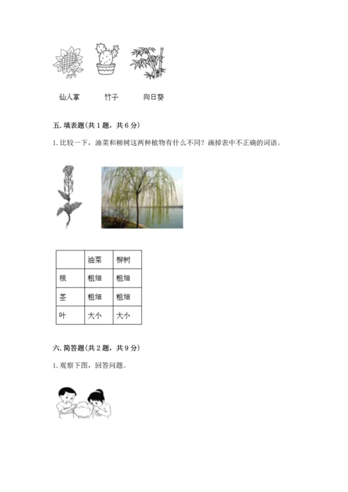 教科版科学一年级上册第一单元《植物》测试卷【名校卷】.docx