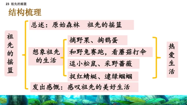 23祖先的摇篮（课件）