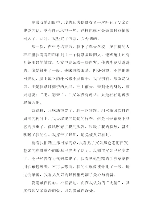 高中写人叙事作文.docx