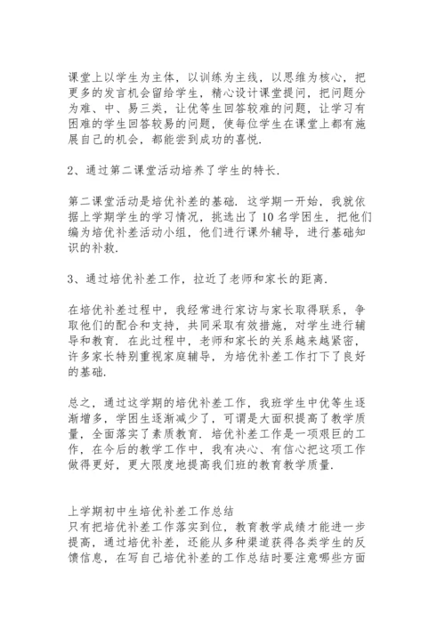 初中上学期教师个人培优补差工作总结.docx