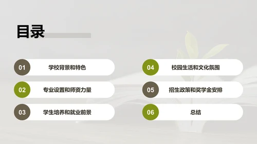 绿棕色商务现代校园招生宣传PPT模板