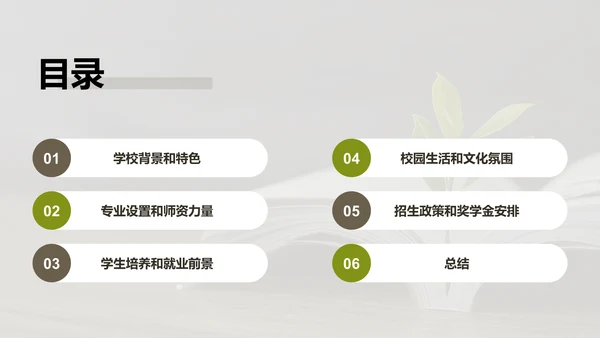 绿棕色商务现代校园招生宣传PPT模板