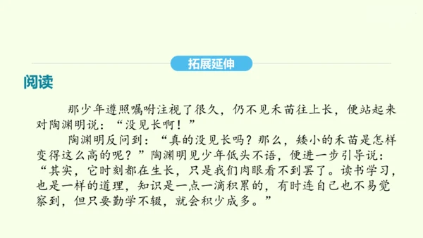 第9课 桃花源记 统编版语文八年级下册 同步精品课件