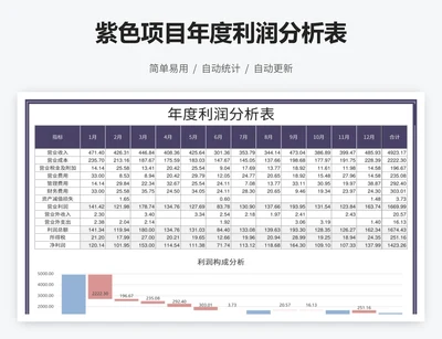 紫色项目年度利润分析表