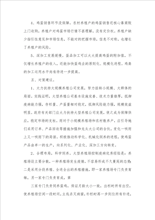 鸡蛋调查汇报