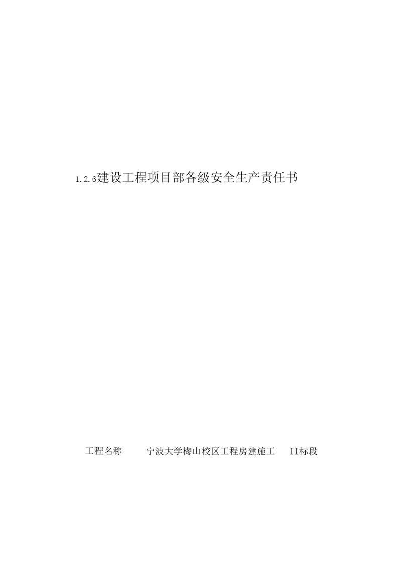 建设工程项目部各级安全生产责任书doc37页