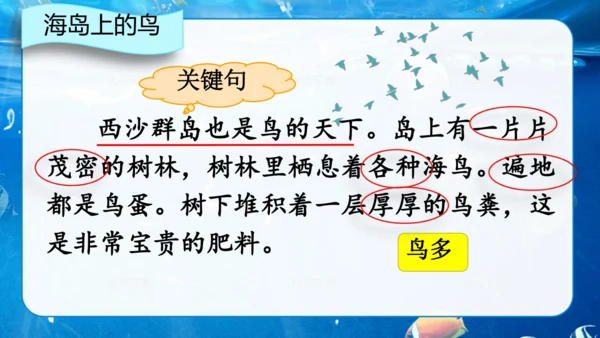 第18课《富饶的西沙群岛》课件