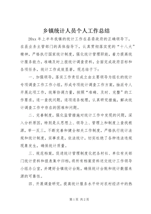 乡镇统计人员个人工作总结.docx