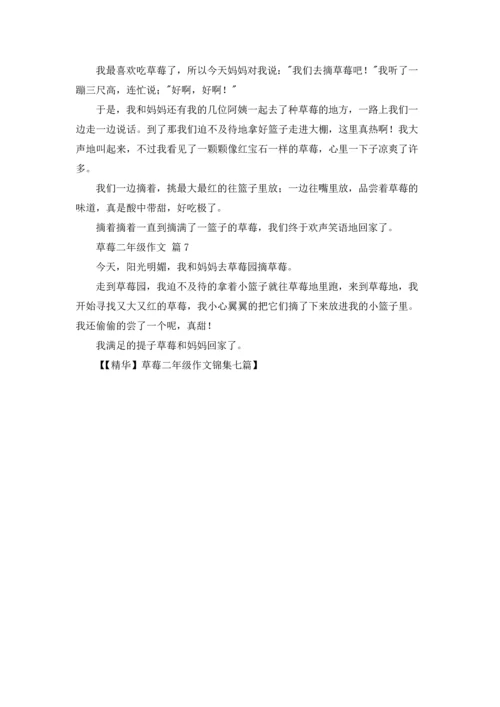 草莓二年级作文锦集七篇.docx
