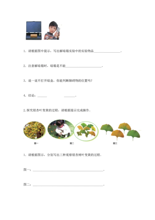 苏教版一年级上册科学期末测试卷附答案（模拟题）.docx