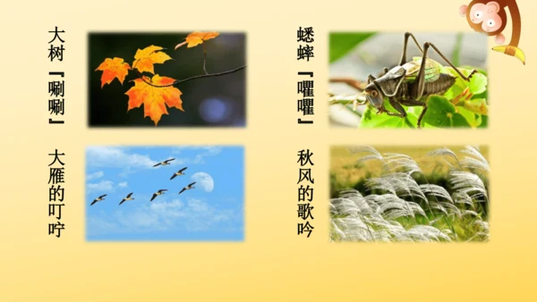 7 听听，秋的声音 课件