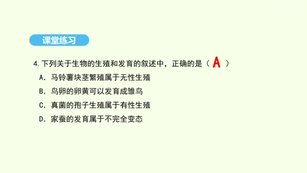 7.1.4鸟的生殖和发育课件-人教版生物八年级下册(共28张PPT)