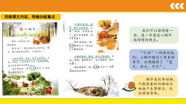 14 小蜗牛  课件