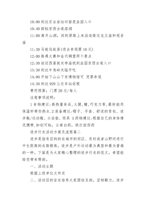 徒步行走活动方案及流程(四篇).docx