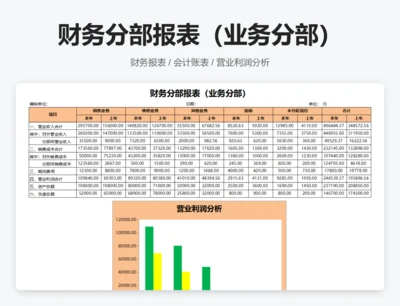 财务分部报表（业务分部）