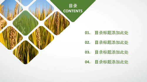 农业生产春耕三农新农村乡村振兴稻田水稻PPT
