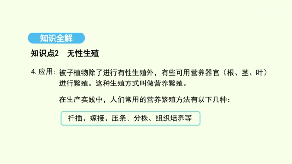 7.1.1植物的生殖课件-人教版生物八年级下册(共33张PPT)