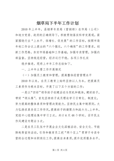 烟草局下半年工作计划 (5).docx