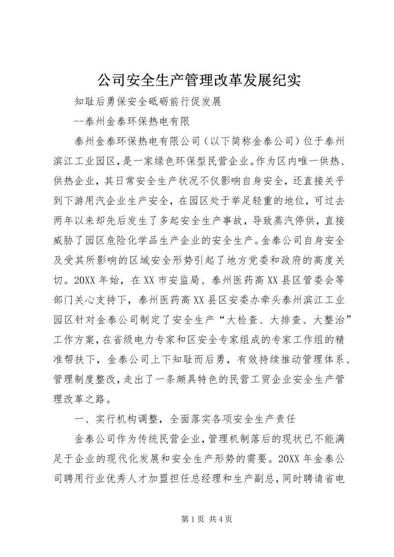公司安全生产管理改革发展纪实.docx