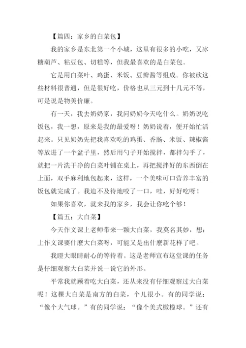 白菜的作文300字.docx