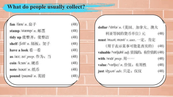 外研版八年级下册Module 6 Hobbies Unit 1 Do you collect any