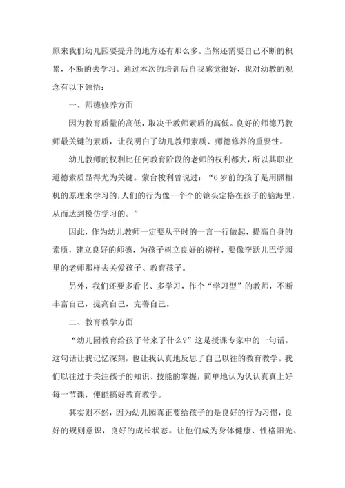 有关幼儿园教师国培心得范文五篇.docx