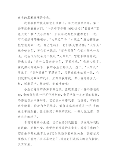 小动物小学六年级作文范文.docx