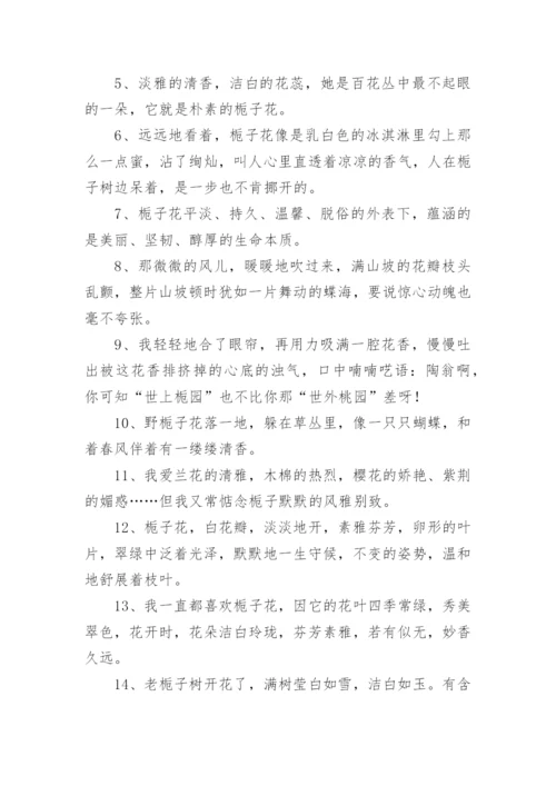描写栀子花的优美段落.docx