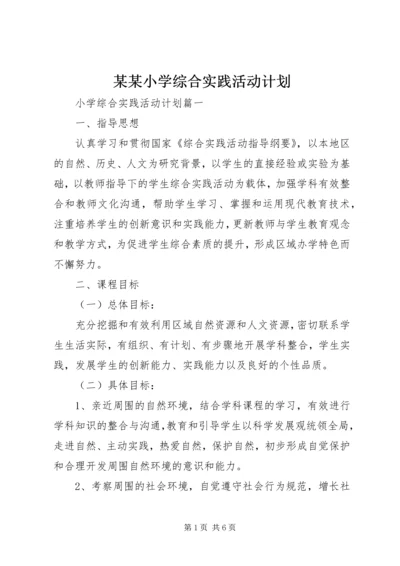 某某小学综合实践活动计划.docx