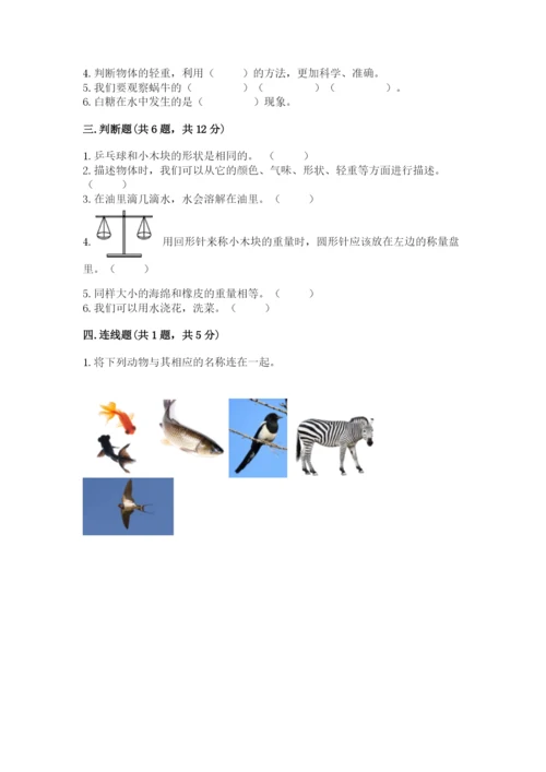 教科版小学科学一年级下册期末测试卷附答案【轻巧夺冠】.docx