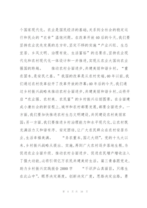 青春跟党走,助力乡村振兴实践报告2000字范文(通用10篇).docx