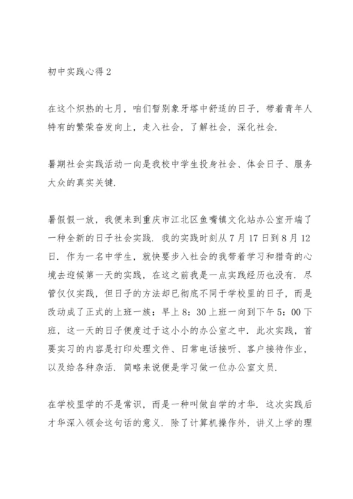 初中实践心得范文10篇.docx