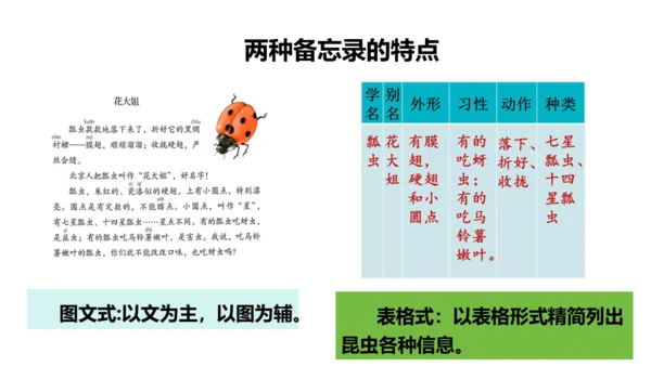 第4课《昆虫备忘录》（教学课件）
