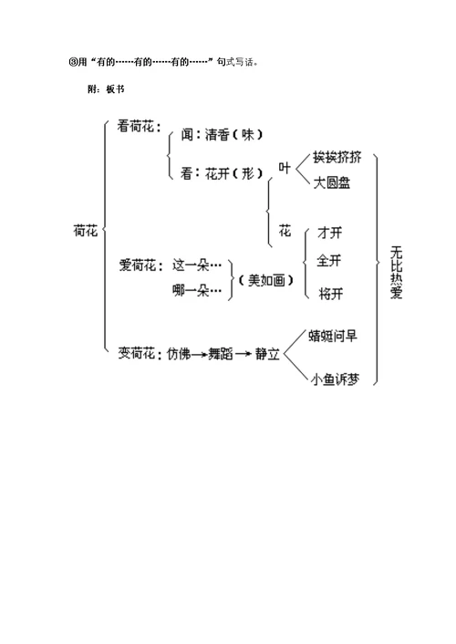 三年级语文下册《荷花》