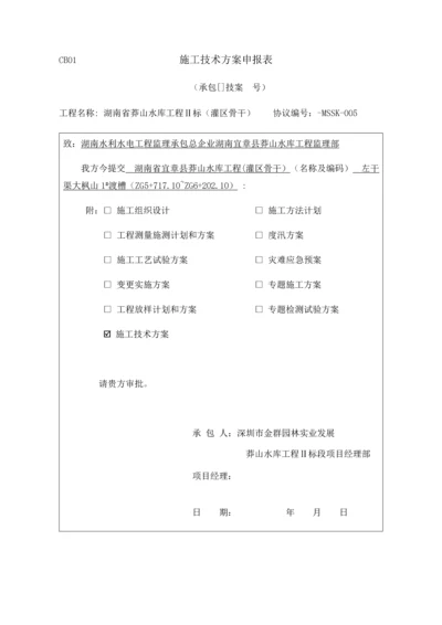 渡槽综合标准施工核心技术专业方案.docx