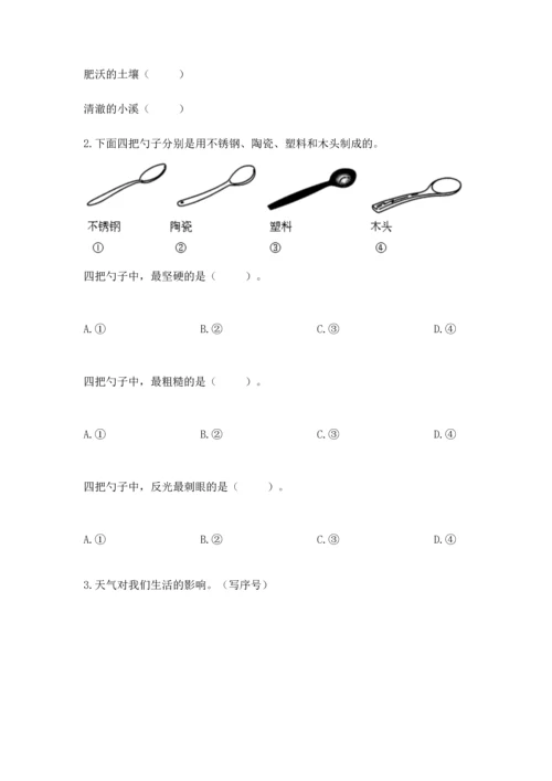 教科版二年级上册科学期末测试卷精品【典型题】.docx